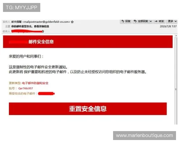 如何安全访问OG视讯网站入口,避免钓鱼和诈骗风险保障您的资金安全